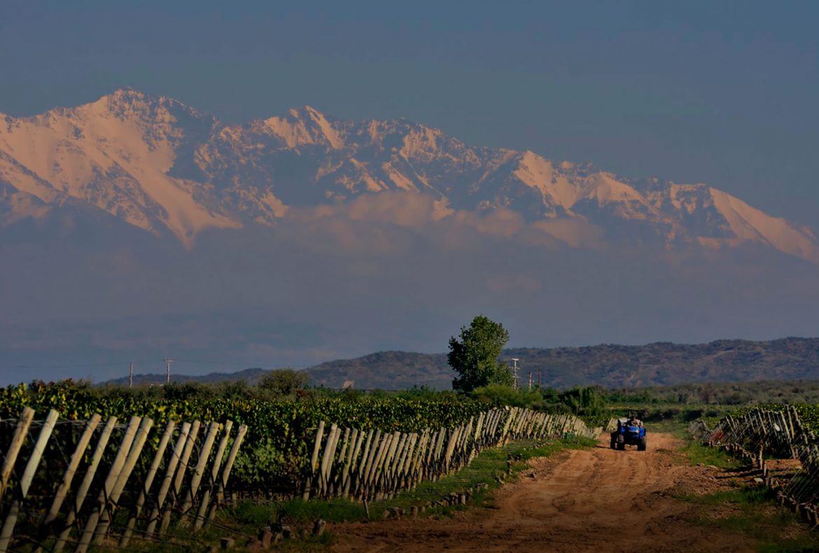 Masi winery in Tupungato, Uco Valley, Mendoza, Argentina. A guide to wineries in Mendoza and Argentina. South America Wine Guide