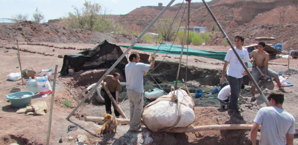Excavation site in Neuquen, Proyecto Dino