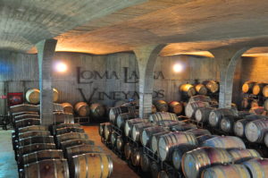 Loma Larga vineyards