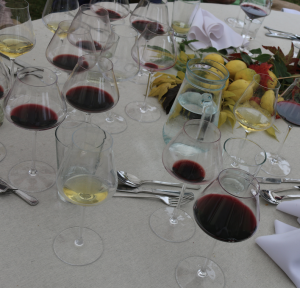 Screen Wine Tasting in Mendoza over lunch