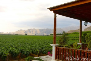80 Harvests: View from the wine resort of Intipalka