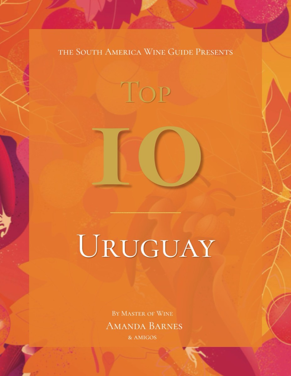 Top 10 Uruguay, the free report by Amanda Barnes MW
