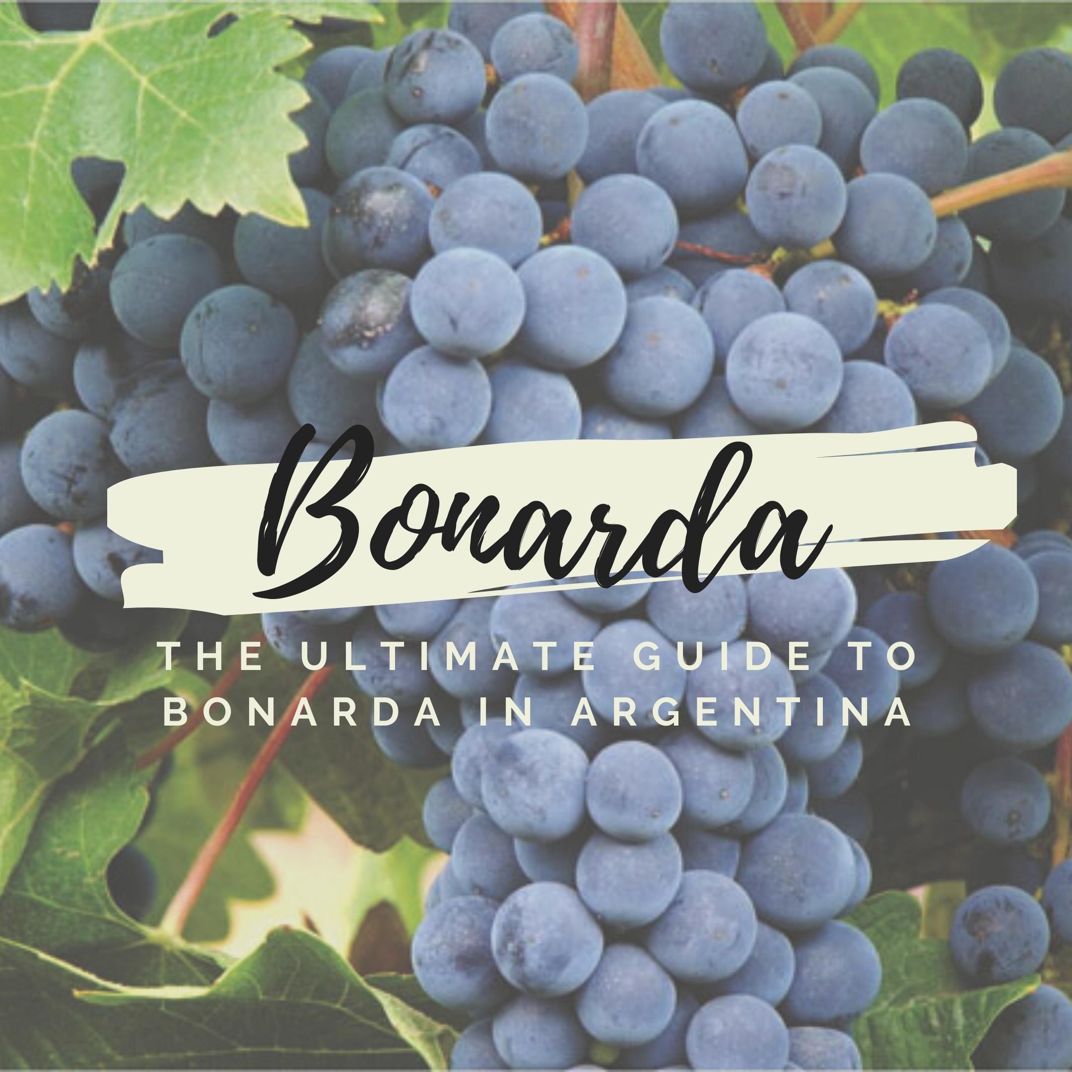 The ultimate guide to Bonarda grape variety in Argentina