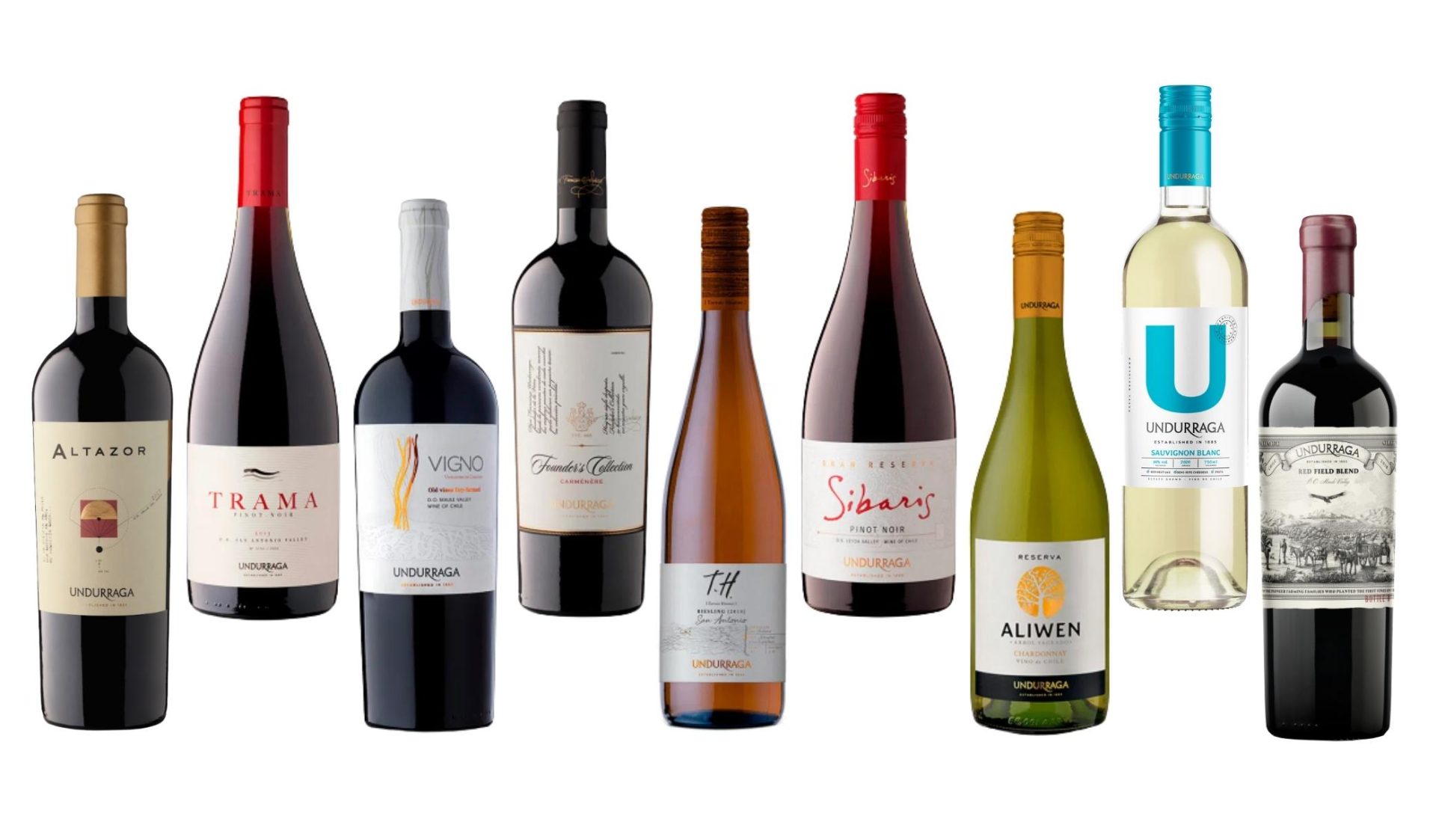 Viña Undurraga winery & wines South America Wine Guide