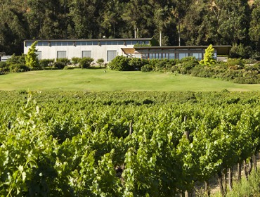 Odfjell winery and vineyards in Maipo Chile