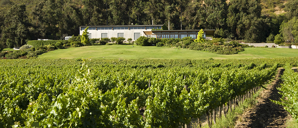 Odfjell winery and vineyards in Maipo Chile