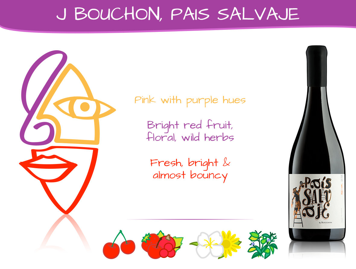 Pais Salvaje Bouchon wine tasting note and information