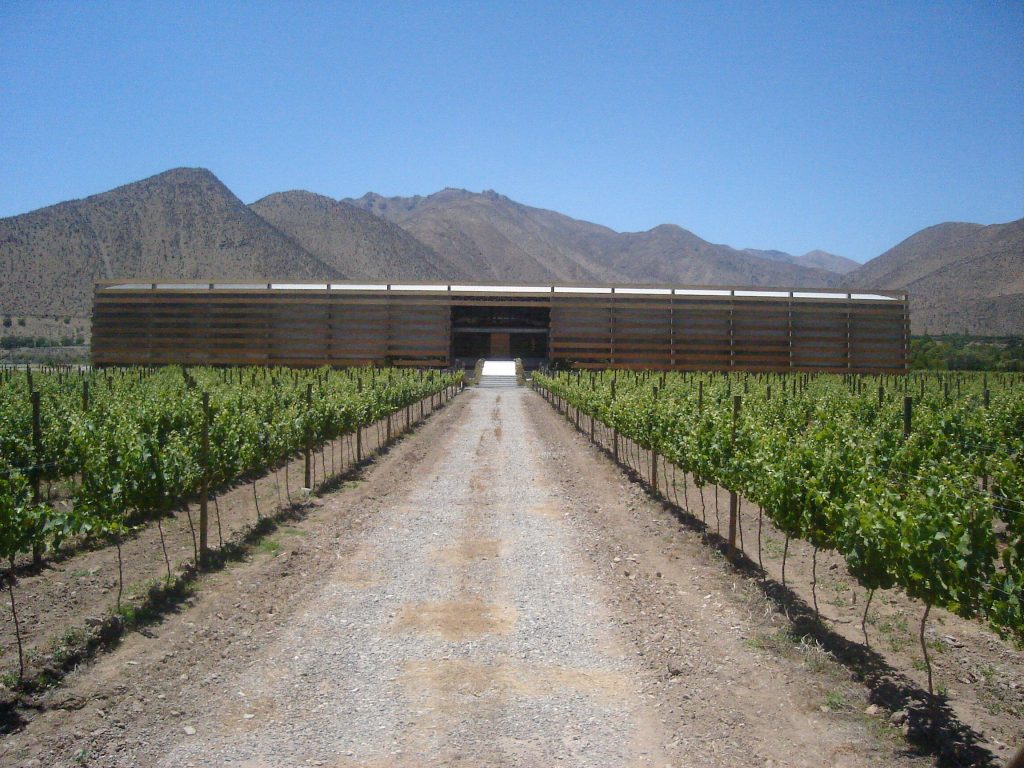 Falernia winery and vineyards in Elqui Chile