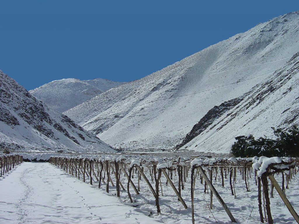 Falernia vineyard and wines in Chile