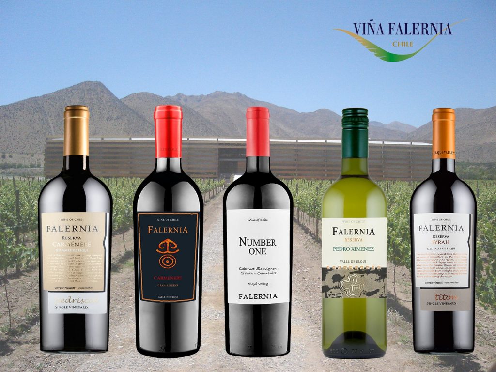Falernia winery and wines in Valle de Elqui