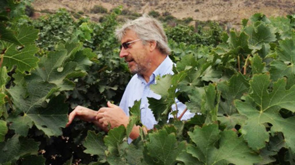 Giorgio Flesseti, winemaker at Viña Falernia in Elqui Valley