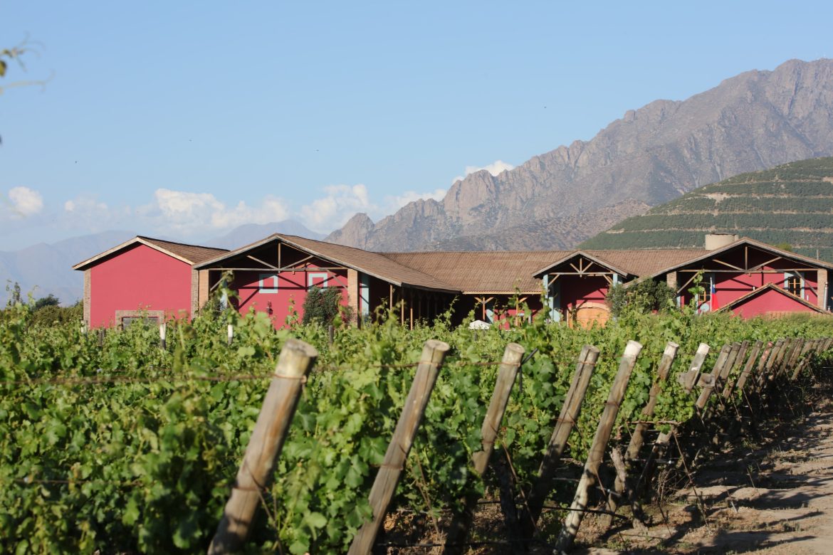 Guide to the wineries in Chile. Viña von Siebenthal in Panquehue, Chile