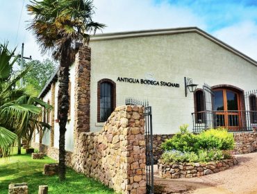 Guide to wineries in Uruguay, Antigua Bodega winery in Canelones Montevideo