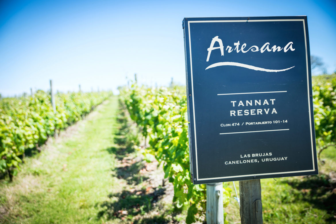 Artesana winery owners Blake & Lanyon Heinemann