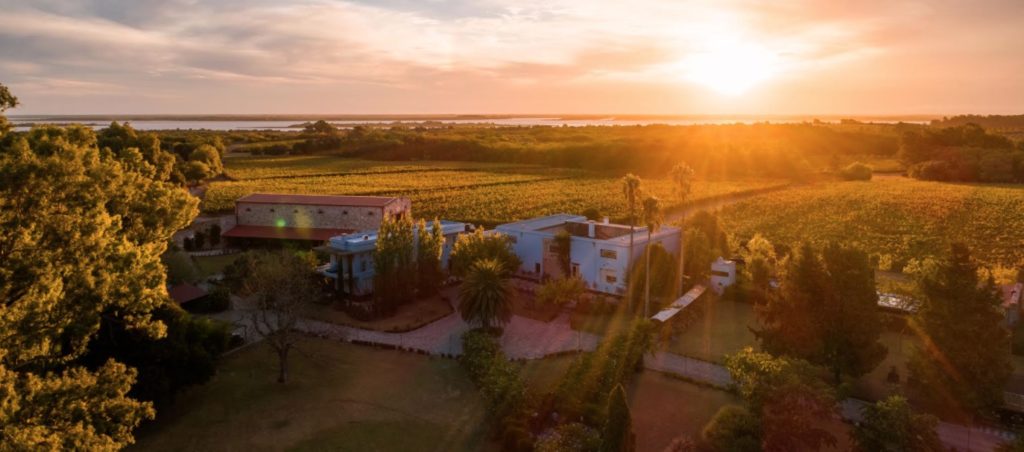 Narbona winery in Colonia, guide to wineries in Uruguay