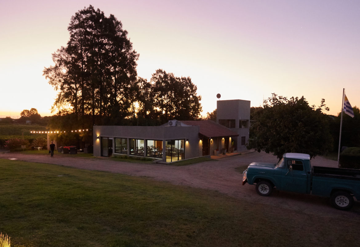 Pizzorno winery guide, guide to wineries in Uruguay