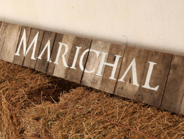 Marichal wines and winery in Canelones, Uruguay wine guide