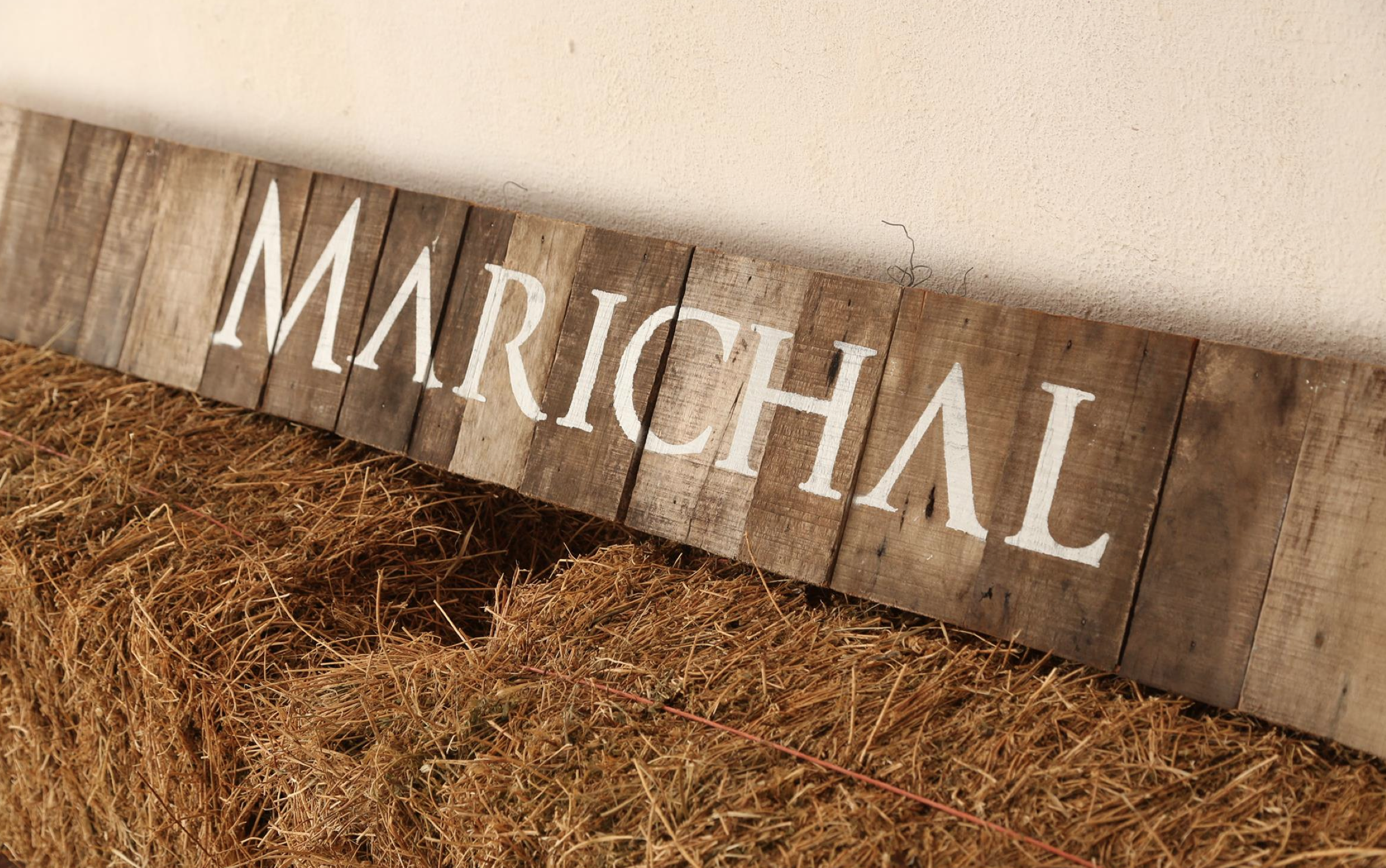 Marichal Premium Sauvignon Blanc, Canelones, Uruguay 2021