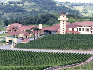 Miolo winery guide