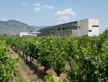 Maquis winery: Guide to Colchagua's wine regions