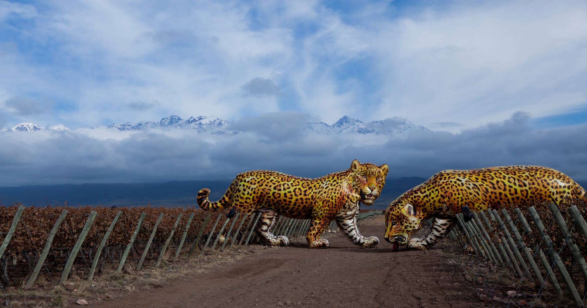 Monteviejo winery and art exhibitions in Mendoza