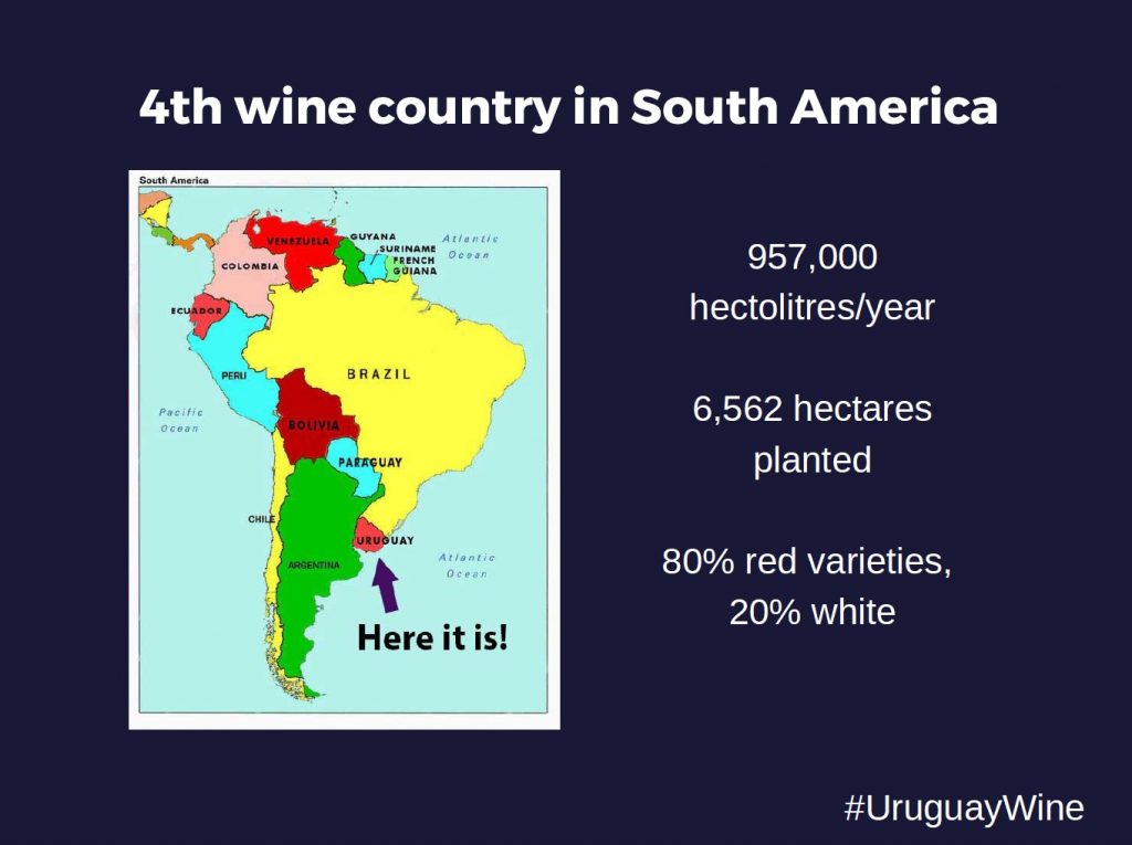 Masterclass on wines of Uruguay
