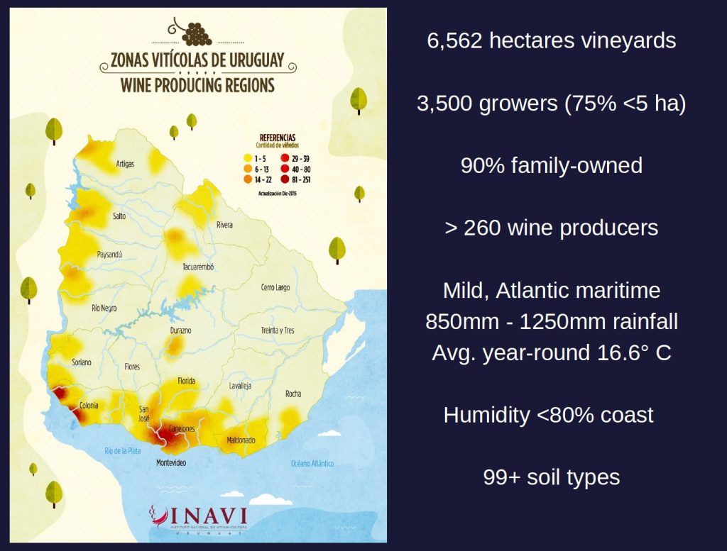 A map of the wine regions of Uruguay wine production map
