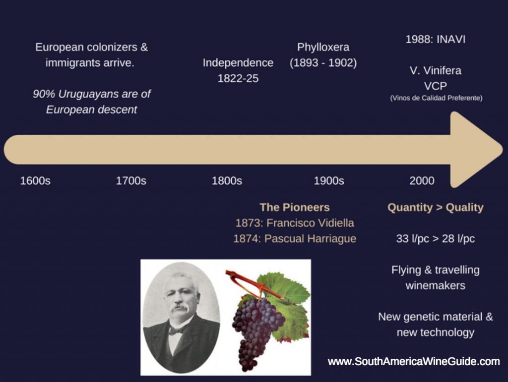 History of Uruguayan wine and the wines of Uruguay