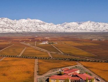 Visit Cuvelier los Andes winery