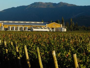 Winery guide to Chile, Argentina and Latin America. Apaltagua winery