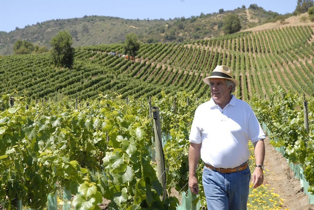Bodegas RE in Casablanca, winemaker Pablo Morande, Chile wine guide