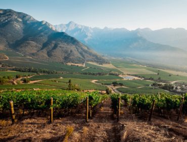 Arboleda winery in Aconcagua Valley, Chile. Latin American wine guide