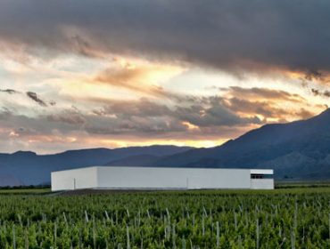 winery guide, best wineries in Mendoza