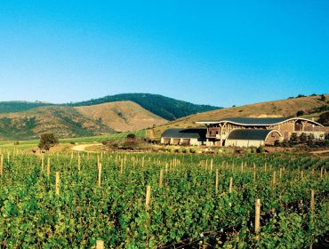 Winery guide Chile: Viña Garcés Silva, Amayna winery, Boya wines, Leyda, San Antonio