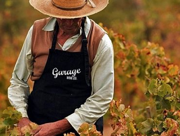 Garage Wine Co winery recommendation and guide to Chilean wine