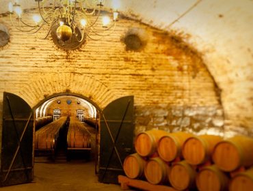 Old cellar in Cousiño Macul, one of the most historic wineries in Chile. South America Wine Guide