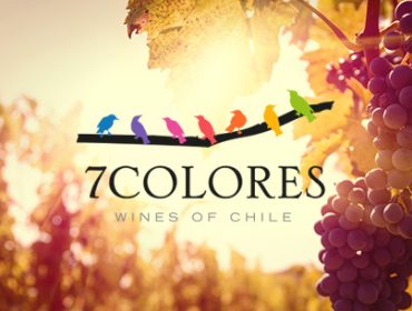 7 colores winery chile