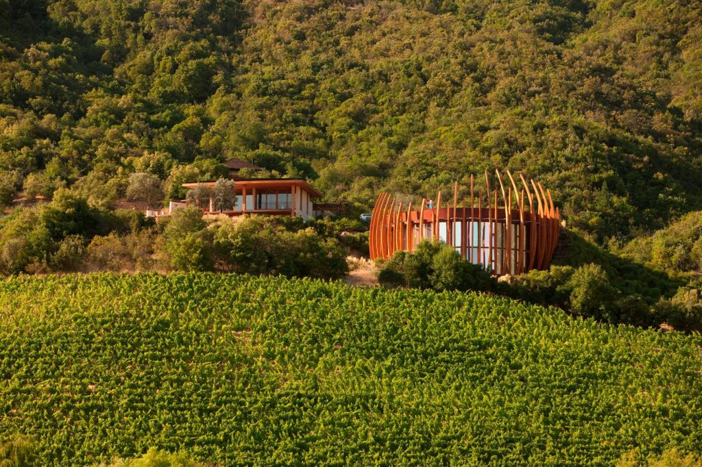 Winery guide Chile: Lapostolle and Clos Apalta