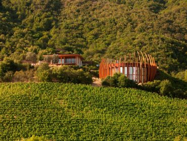 Winery guide Chile: Lapostolle and Clos Apalta