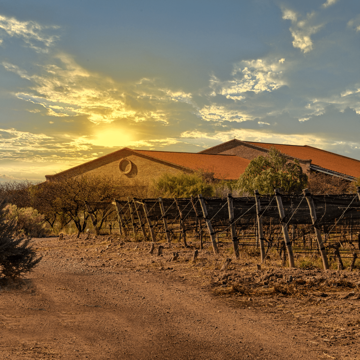 Altos Las Hormigas winery in Lujan de Cuyo and Jardin Altamira in Valle de Uco, Mendoza, Argentina