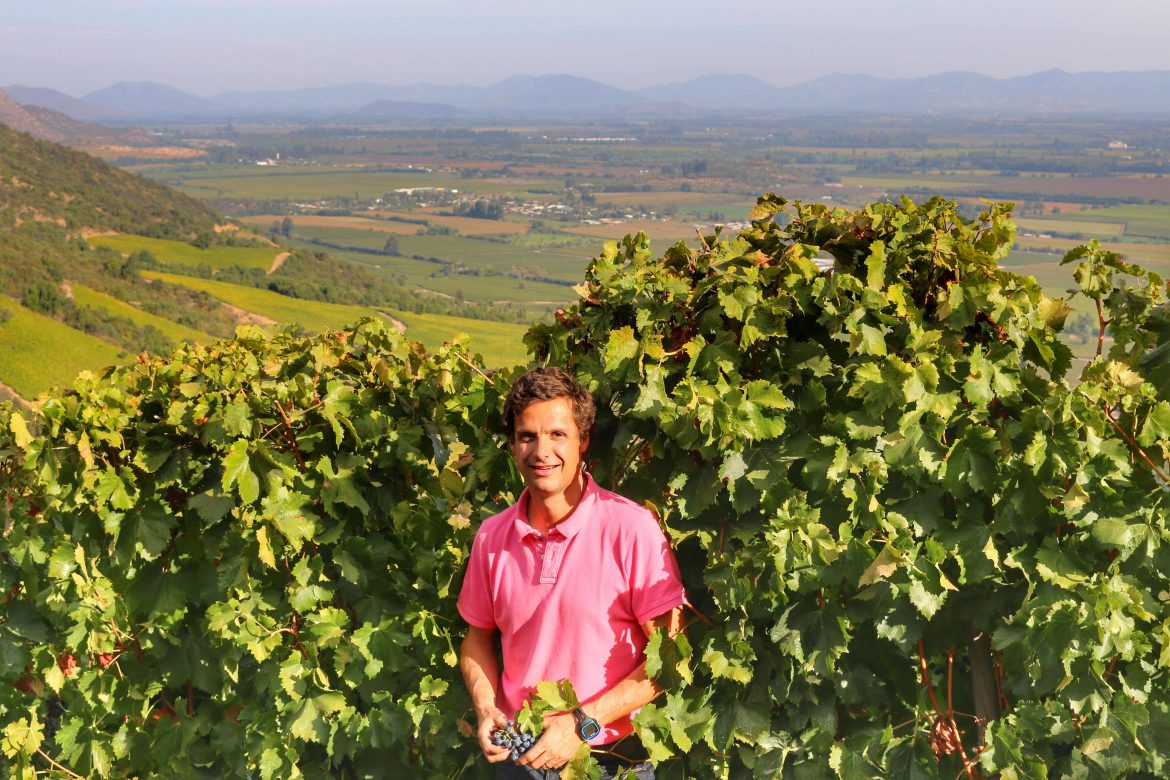 Apalta terroir and viticulture, Aurelio Montes interview