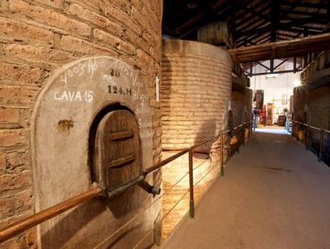 Guide to Mendoza wineries and South America