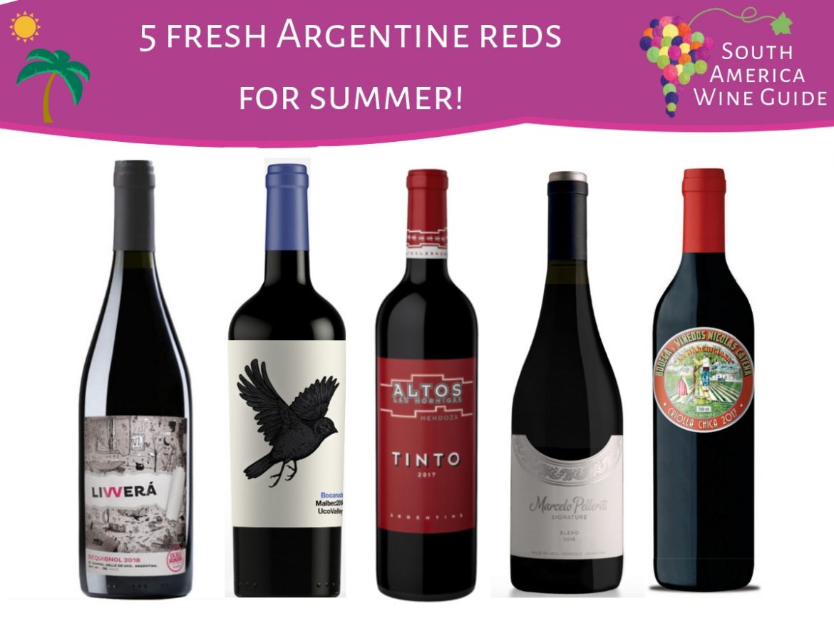 wine recommendations argentina, new red wines from argentina