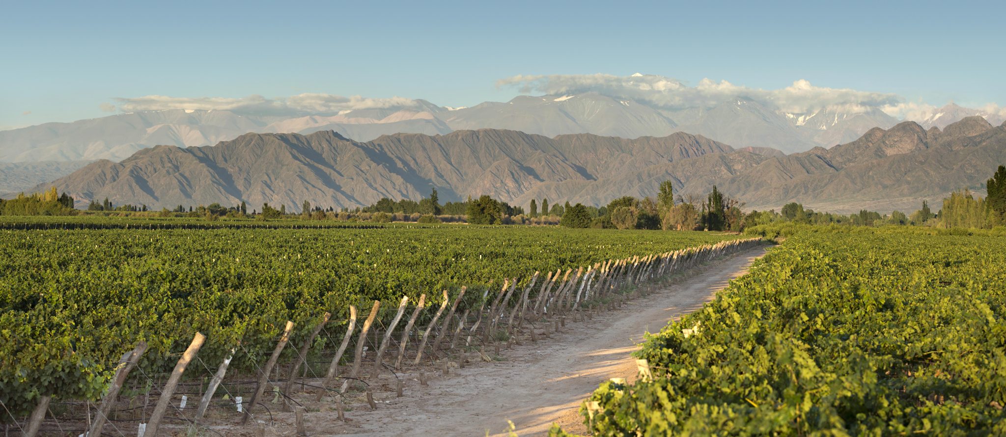 Kaiken Winery -Guide To Wineries In Mendoza, South America Wine Guide