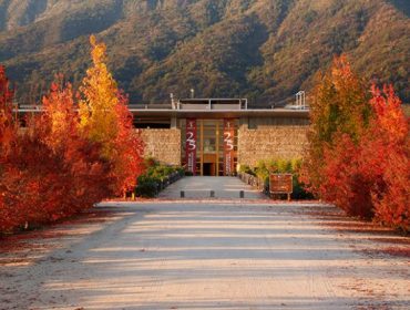 Winery Guide Chile, Montes winery