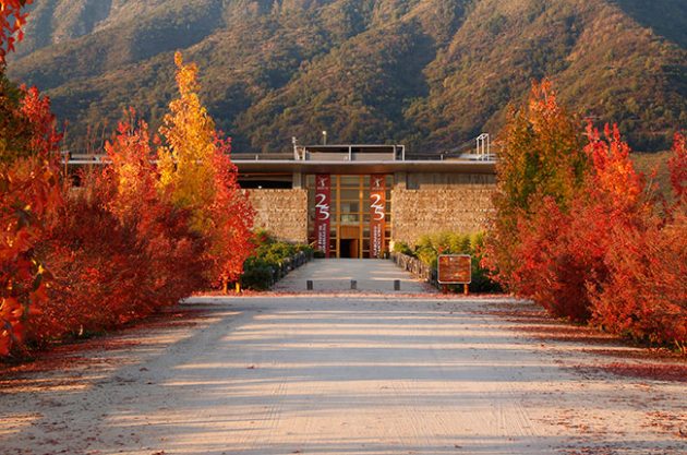 Montes winery - Guide to Chilean wineries in South America Wine Guide