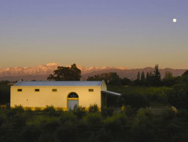 Guide to Mendoza's wineries, Carinae winery in maipu