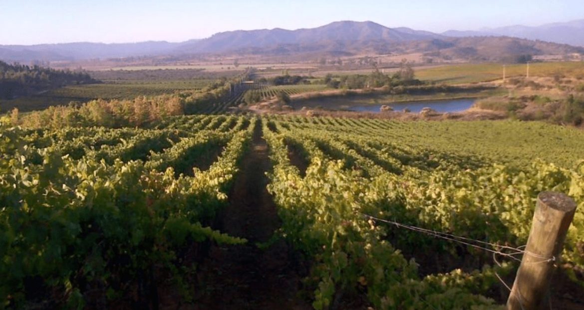 Winery guide for Chile, Casas del Toqui wine