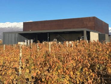 Winery recommendations in Uco Valley, Corazon del Sol