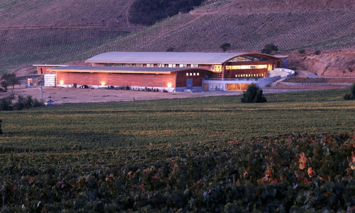 Winery guide Chile, Vina Chocalan winery